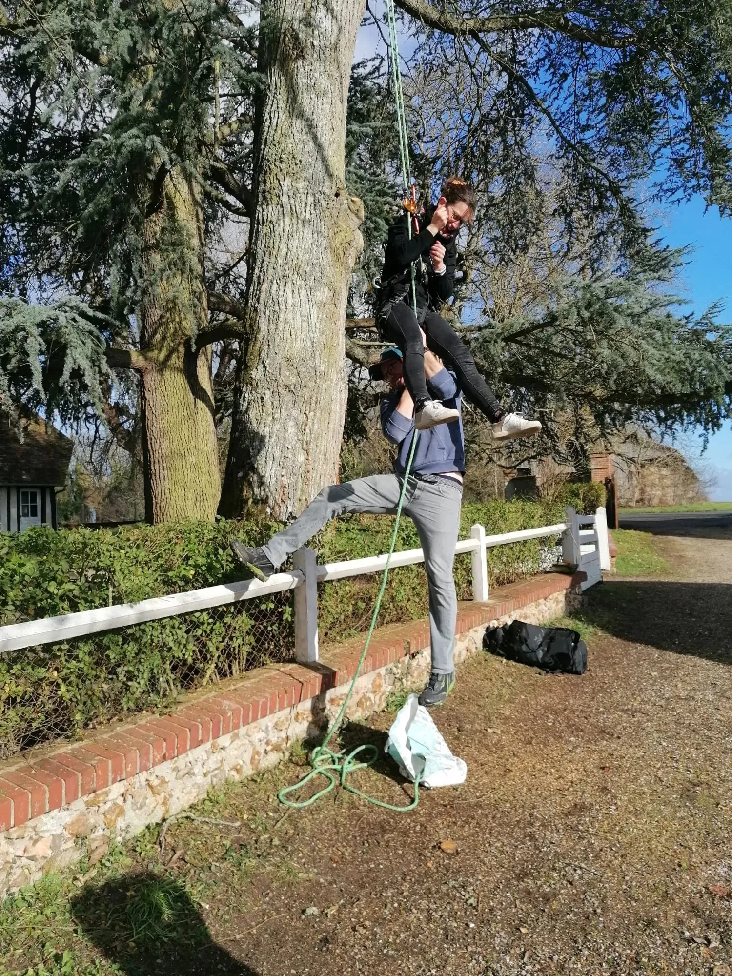 Arboriste suspendu à sa corde de grimpe au pied d'un grand arbre